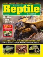 Practical Reptile Keeping